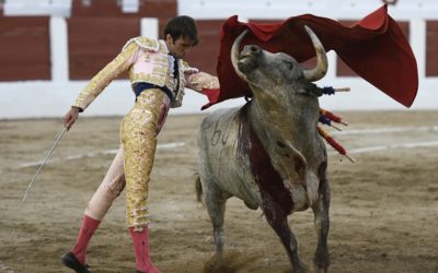 LINARES (27.08.2021) Blessure de JAVIER CORTES et triomphe pour ADRIAN DE TORRES avec trois oreilles.