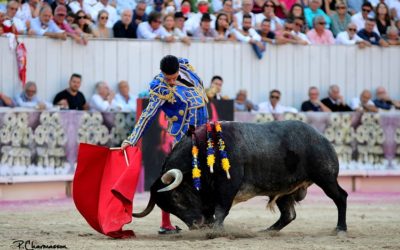ALEJANDRO TALAVANTE à Bayonne le 29 juillet !