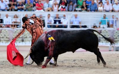 ARLES – OFFICIEL // Le remplaçant d’EMILIO DE JUSTO est connu …