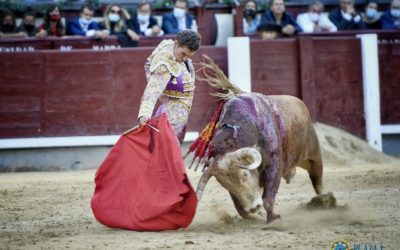 MADRID (12.10.2021) – Triomphe de GINES MARIN qui ouvre la Grande Porte et oreille pour MORANTE DE LA PUEBLA