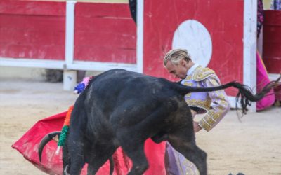 Un apoderado d’envergure pour Lalo de Maria …