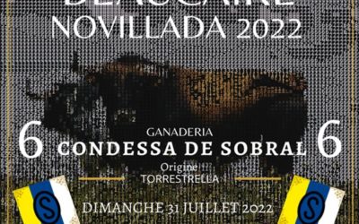 BEAUCAIRE – Une Ganaderia portugaise à l’affiche de la novillada …