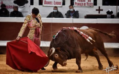 DAX 2022 – DANIEL LUQUE seul face à six toros de La Quinta !