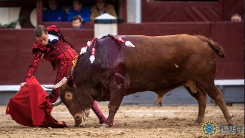 MADRID – Premier cartel officiel pour le Domingo de Resurrección.