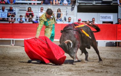 Le novillero TRISTÁN se retire des ruedos …