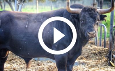 ALES – Les Cathédrales de Valverde !