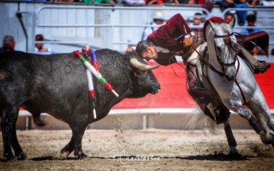 ARLES (18.04.2022, matin) – Sensationnel DIEGO VENTURA, 4 oreilles et une queue, en triomphe avec GUILLERMO HERMOSO DE MENDOZA.