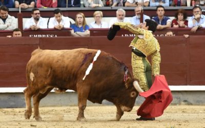 MADRID (16.05.2022) – ISAAC FONSECA et ALVARO BURDIEL marquent les esprits …