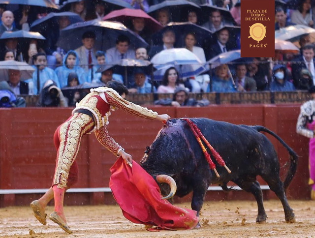 SEVILLE (02.05.2022) – TOMAS RUFO, trois oreilles, éclaire la Maestranza et ouvre la Porte du Prince.