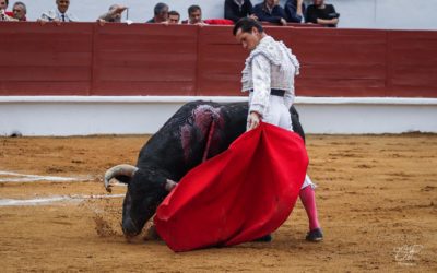 SAINT-SEVER (26.06.2022) – Le reportage photo complet de la deuxième corrida, avec un Daniel Luque magistral (Photos C.Fabères).
