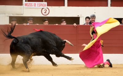 VIC-FEZENSAC (04.06.2022) – CRISTIAN PEREZ le plus en vue…