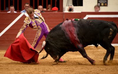 VIC-FEZENSAC (05.06.2022, matin) – Les Baltasar Iban et JAVIER CORTES…