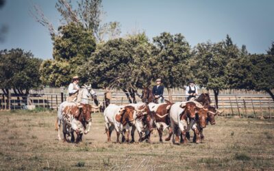 Estivales de Valverde – Retour sur un premier acte réussi…