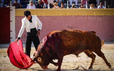 Estivales de Valverde – Un deuxième acte conclu en beauté…