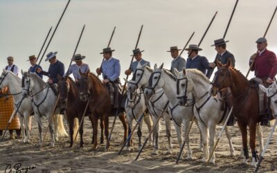 Succès total pour le retour de l’accoso y deribo …