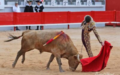 BOUILLARGUES (08.10.2022) – Une vuelta partout. Les lauriers à PEDRO ANDRES et “Lorca”d’Hubert Yonnet…
