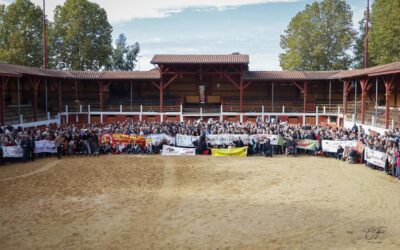 RION DES LANDES (06.11.2022) – Magnifique clôture de temporada pour le sud-ouest taurin…