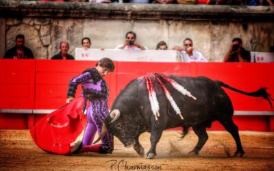 L’Union des Critiques Taurins de France section sud-est décerne ses prix pour la temporada 2022…