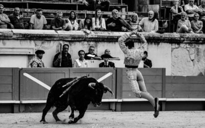 Pour Noël, offrez une photo taurine !
