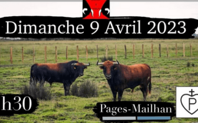 AIGNAN – Aignan y toros fera confiance à deux fers français pour sa journée taurine !