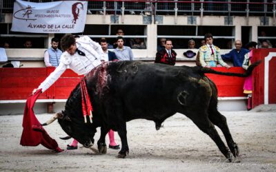 SAINT-MARTIN-DE-CRAU – Présentation officielle des cartels de la Feria de la Crau 2024 !