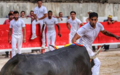 NÎMES – Joachim Cadenas présent pour la Feria de Pentecôte !