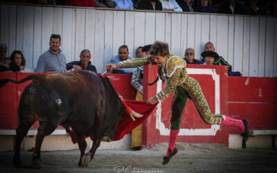 ARLES (09.04.2023, tarde) – A chacun son oreille et ses grands mérites …