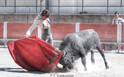 AIRE SUR L’ADOUR – Une tienta gratuite pour l’annonce du cartel de la corrida…