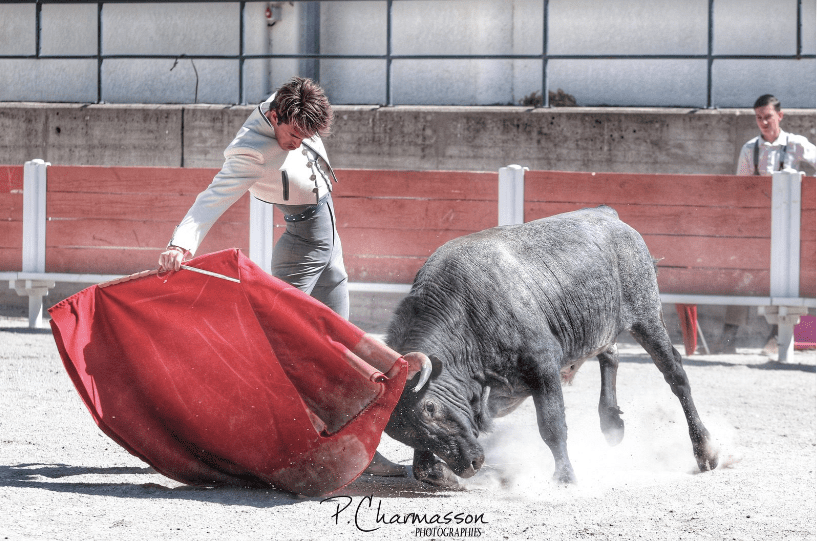 AIRE SUR L’ADOUR – Une tienta gratuite pour l’annonce du cartel de la corrida…