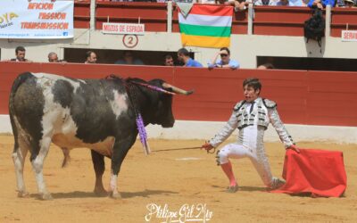 VIC FEZENSAC (27.05.2023, matinale) – CHRISTIAN PAREJO le plus en vue d’une début de feria discret …