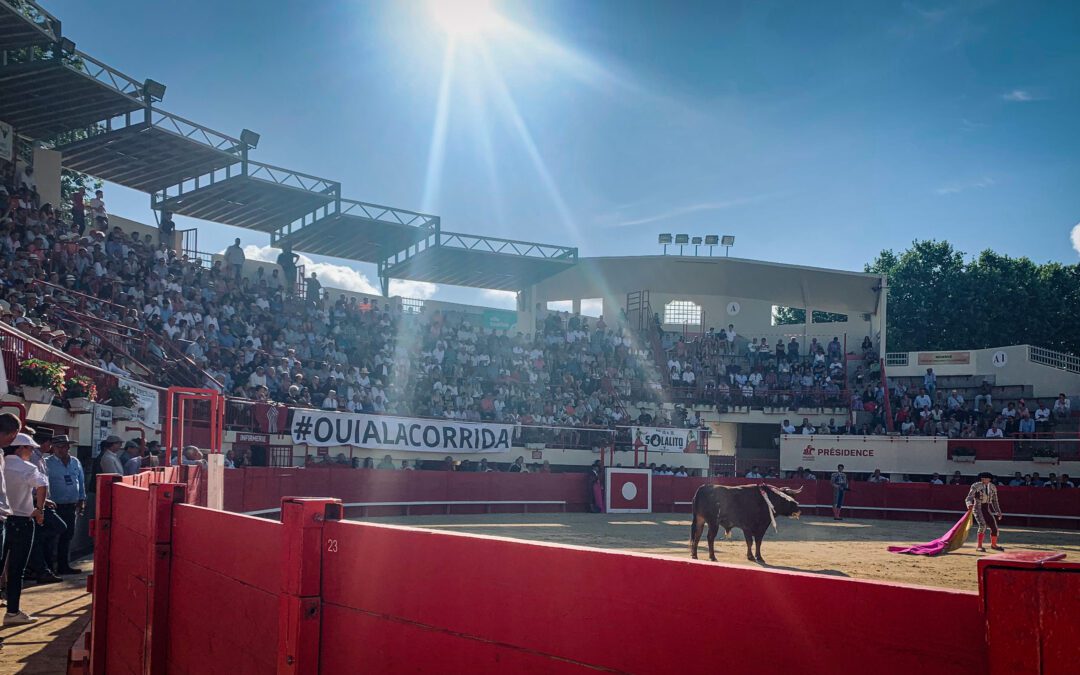 MAUGUIO – Cartel officiel de la novillada de la Romería …