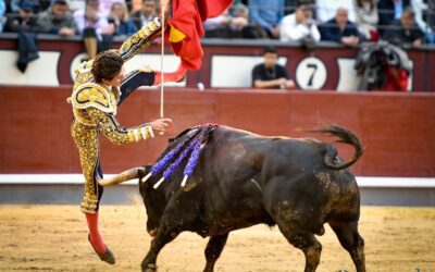 BLESSURE – Double cornada de 20 et 15 cm pour SEBASTIEN CASTELLA …