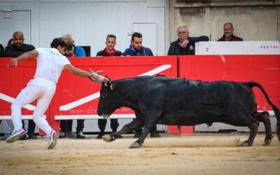 NÎMES – La Camargue à Nîmes !