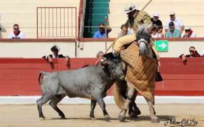 ORTHEZ (23.07.2023, matin) – Les Turquay dominent la matinée…