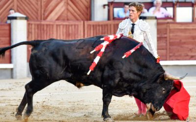 MADRID (16.07.2023) – Des Margé dignes d’intêret ! Grave blessure pour FRANCISCO JOSE ESPADA …