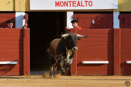 HAGETMAU – Présentation des cartels de la Feria du Novillo 2023…