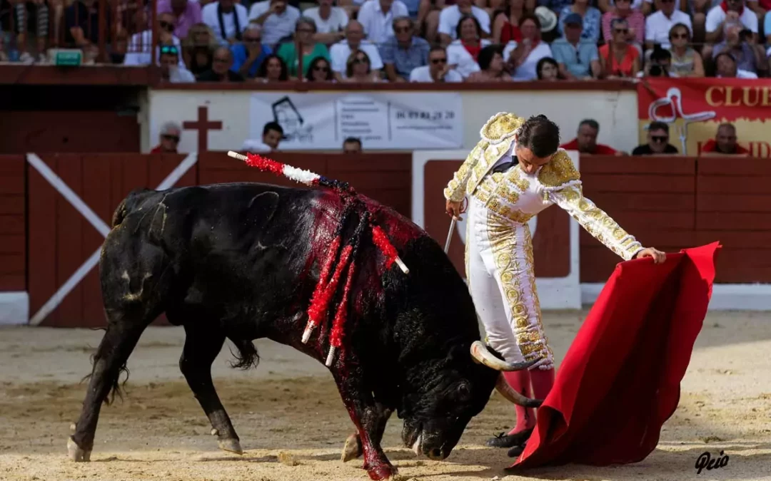 ORTHEZ (23.07.2023, tarde) – SANCHEZ VARA coupe l’unique oreille, MONTERO frôle le triomphe…