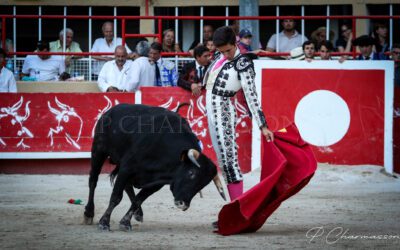 BELLEGARDE – Officialisation du cartel du VIIIeme Trophée Sebastien Castella …
