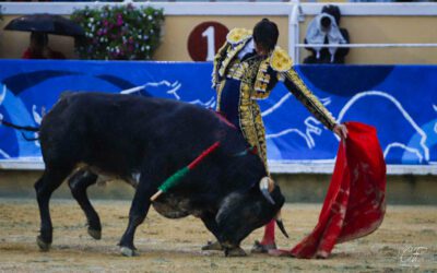 BAYONNE (02.09.2023) – Trois novillos, un déluge et puis s’en va…