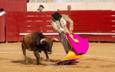 SEISSAN (03.09.2023) – Une nouvelle ganaderia française a fait ses débuts en public ! NINO JULIAN et RAFAEL PONCE DE LEON coupent une oreille…