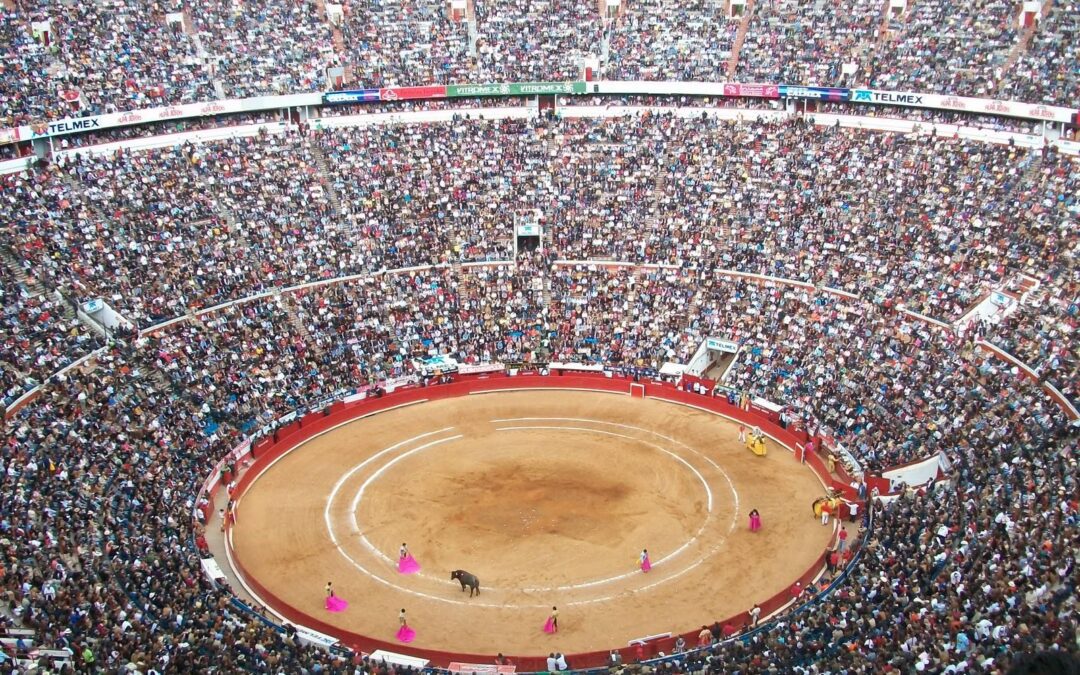 Les toros reviennent à La Mexico !!!