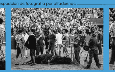 Morante y Ligerito, l’exposition photo de Marie-Michèle…