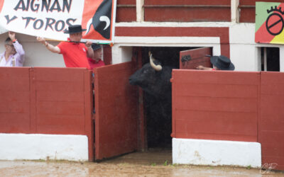 VIC-FEZENSAC – Annonces des ganaderias de la Feria 2025 …