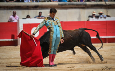 NÎMES (19.05.2024, matinale) – SAMUEL NAVALON s’impose devant la très bonne novillada de Piedras Rojas !