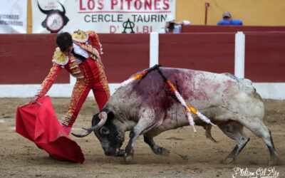 CERET (06.07.2024) – GOMEZ DEL PILAR coupe une oreille !