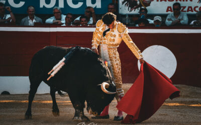 MONT-DE-MARSAN (17.07.2024) – Soleil, chaleur et déception !