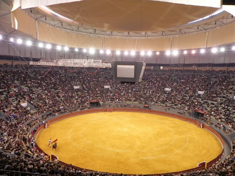 MADRID – Un cartel prestigieux pour un festival au profit des sinistrés de la DANA au Palacio Vistalegre …