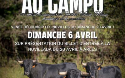 Journée au campo chez Olivier Fernay en prélude de la novillada du dimanche de Pâques …