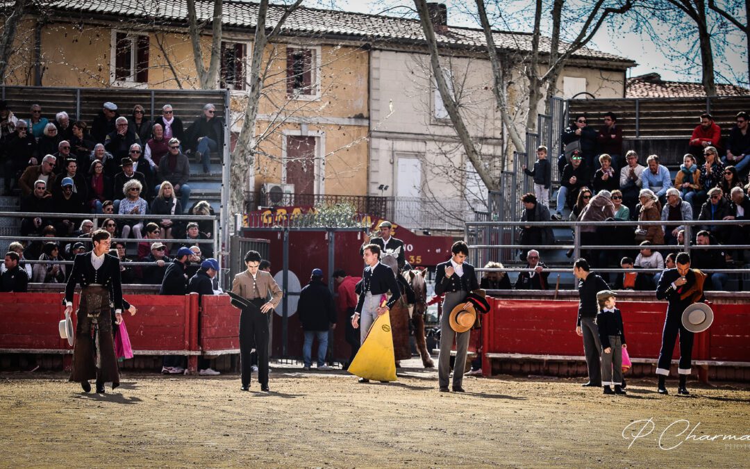 SAINT-LAURENT-D’AIGOUZE – Festival taurin le dimanche 9 Mars !