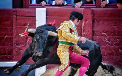 Les Morantistes en font toujours trop…